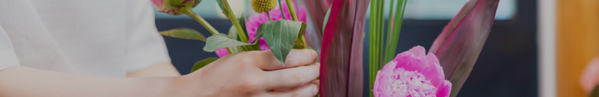 最上部イメージ