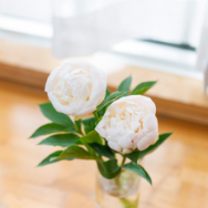 窓辺にお花を飾る