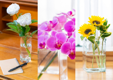 日常のお花