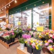 オランダガーデン内観