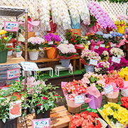 西葛西駅メトロ店内観